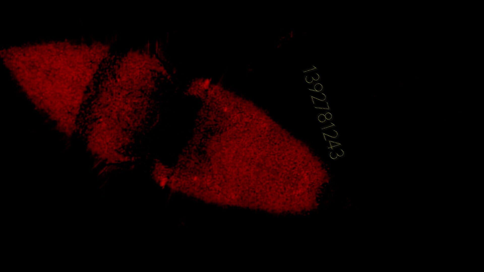 Screenshot for Precognition