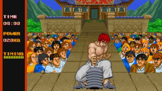 Screenshot for Street Fighter