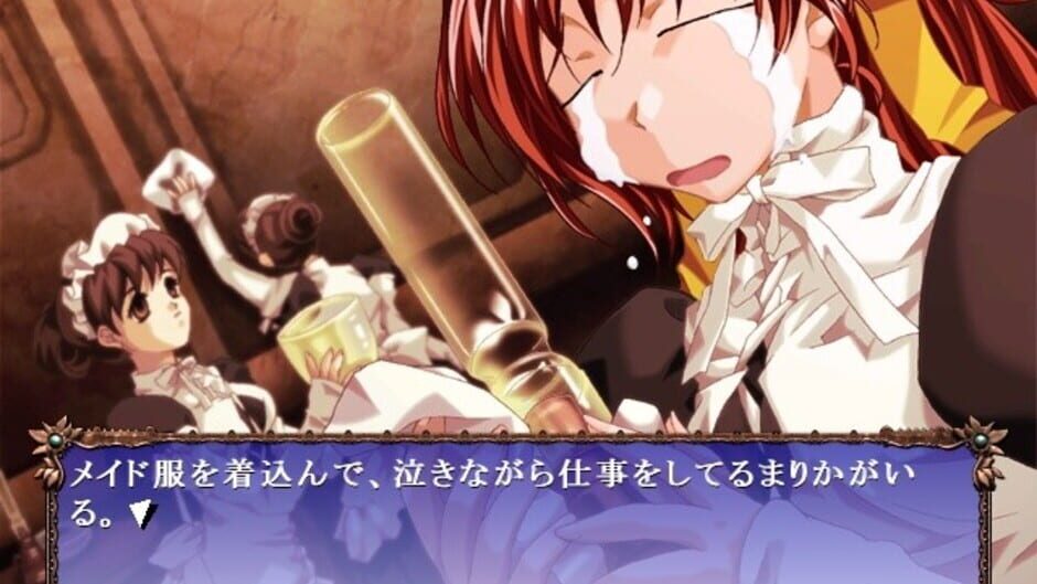 Screenshot for Age Maniax: Isumi Yon Shimai Saigo no Hi
