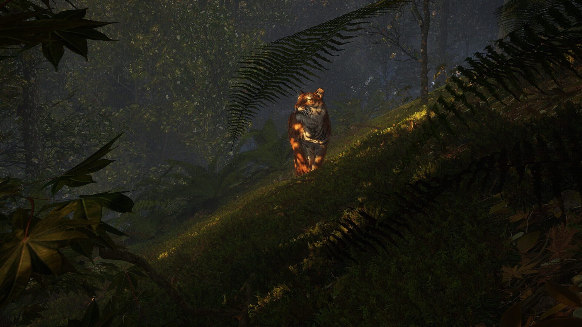 Screenshot for TheHunter: Call of the Wild - Sundarpatan Nepal Hunting Reserve