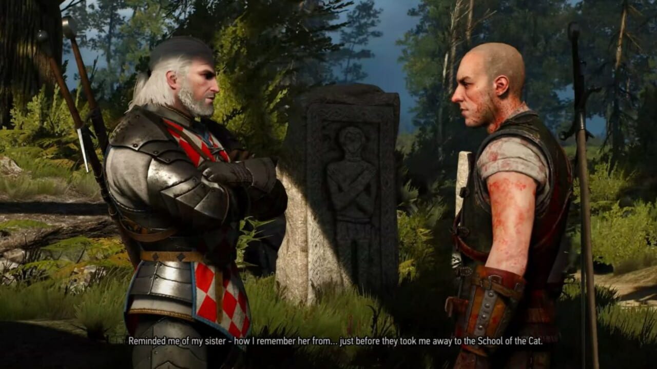 Screenshot for The Witcher 3: Wild Hunt - New Quest 'Where the Cat and Wolf Play...'