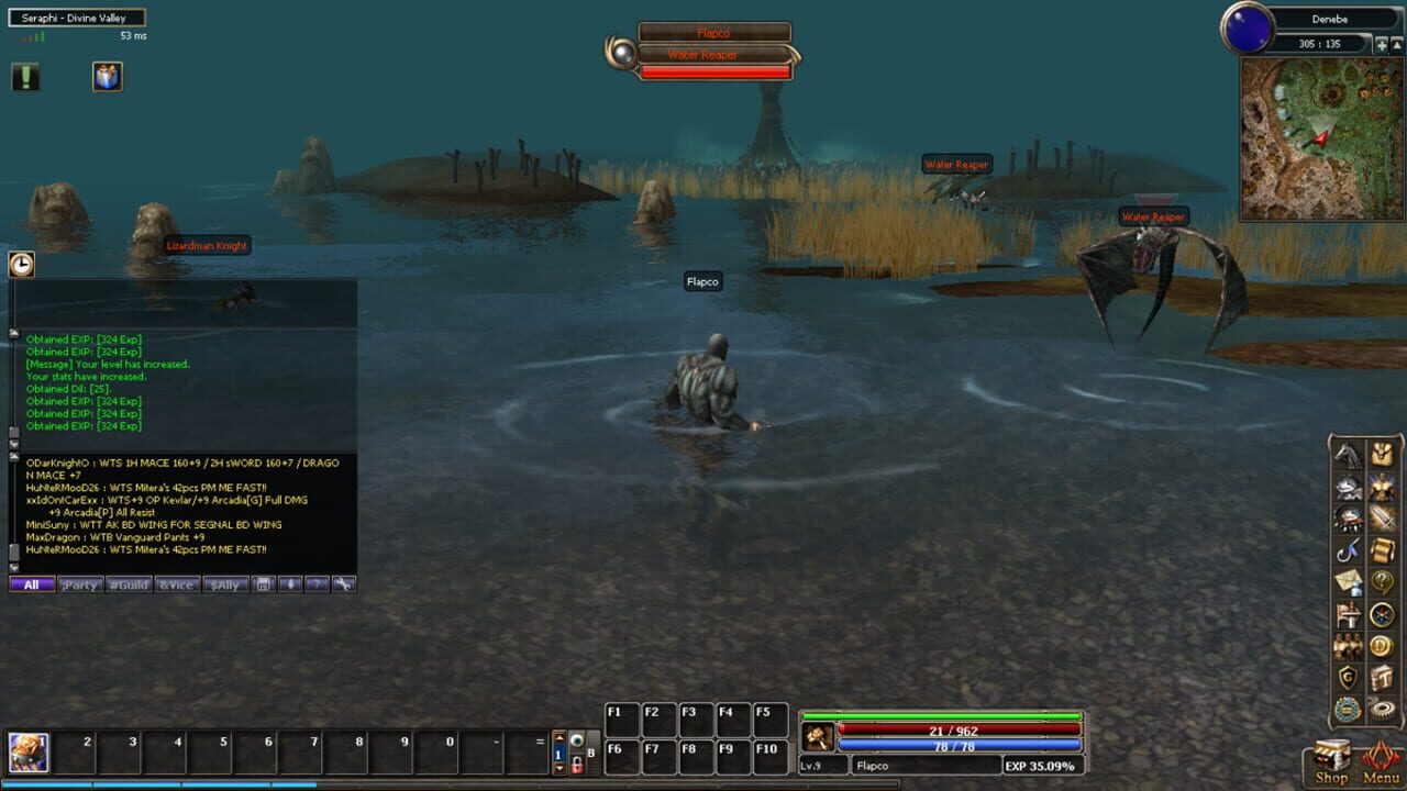 Screenshot for Dekaron