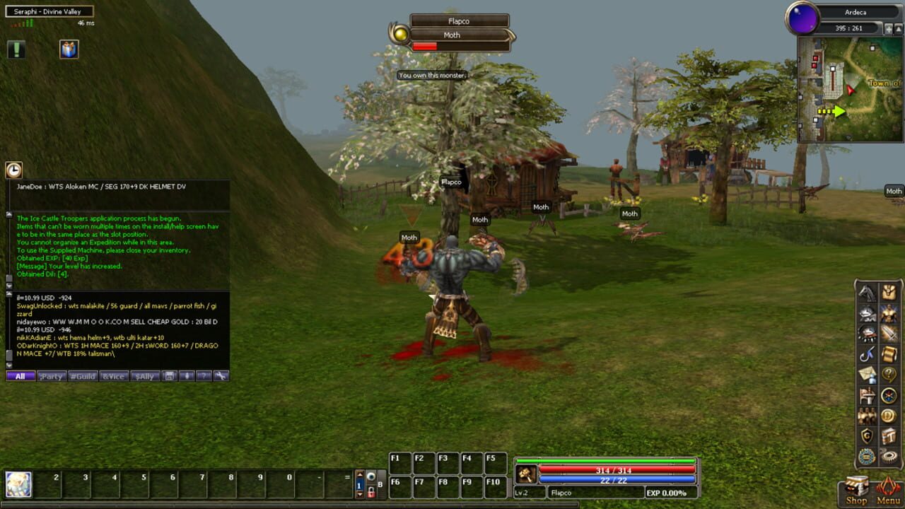 Screenshot for Dekaron