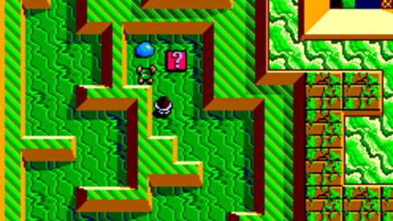 Screenshot for Maze Hunter 3-D