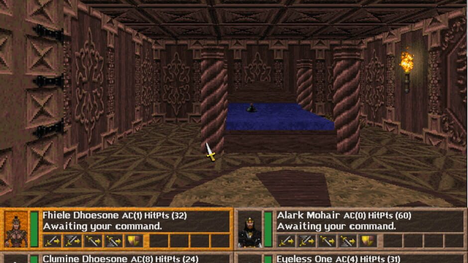 Screenshot for Birthright: The Gorgon's Alliance