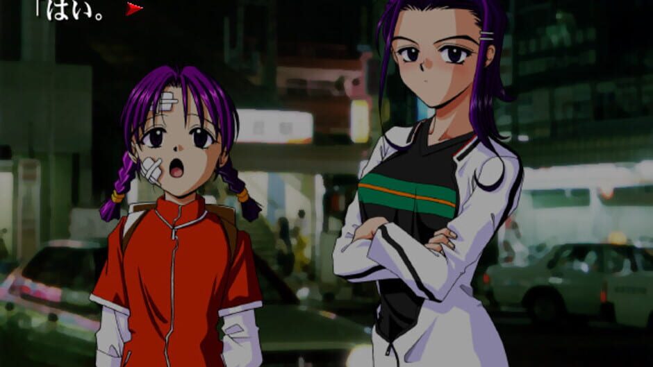 Screenshot for Flowers: Kokoro no Hana