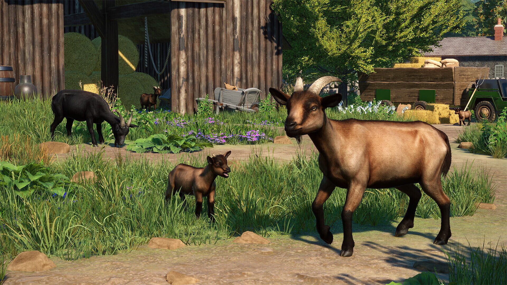 Screenshot for Planet Zoo: Barnyard Animal Pack