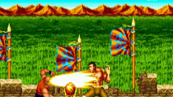 Screenshot for Top Fighter 2000 MK VIII
