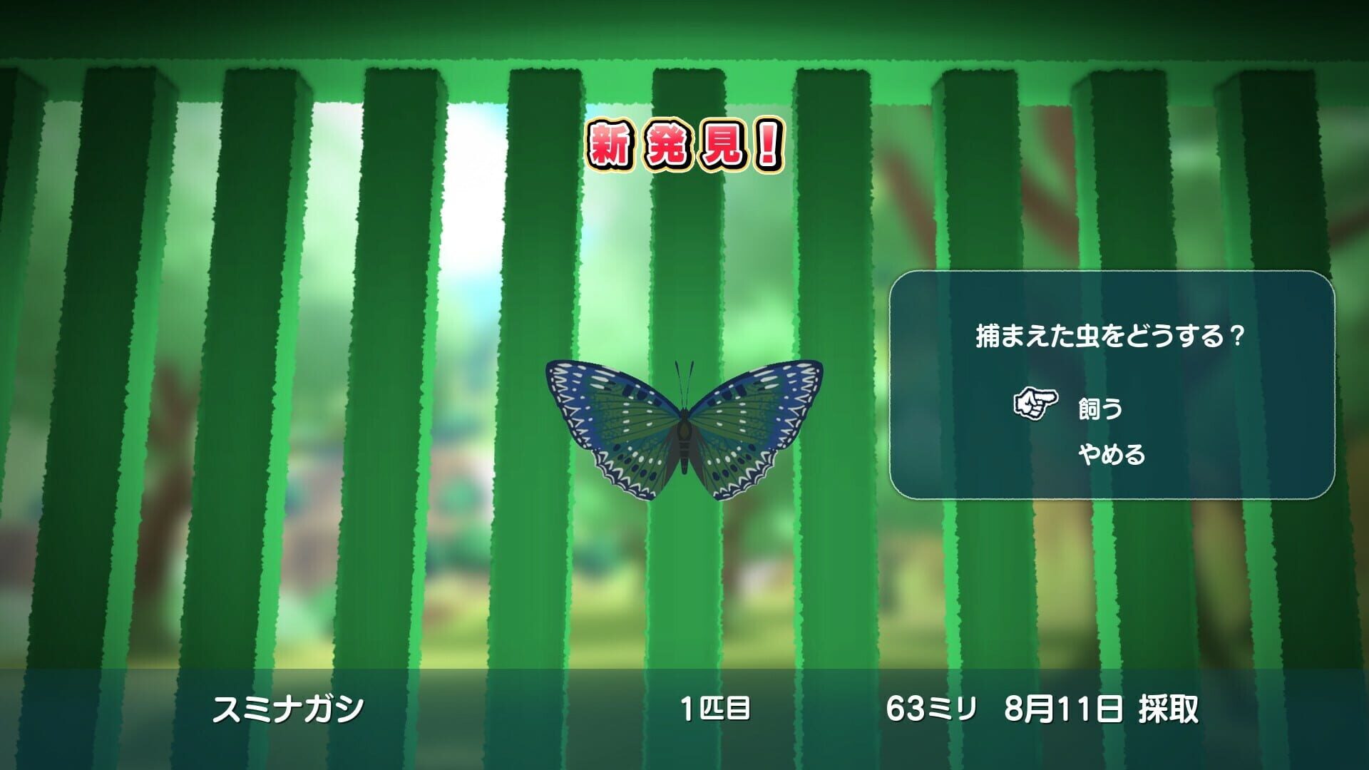Screenshot for Natsu-Mon: 20th Century Summer Kid: Broadcast Over Sunset