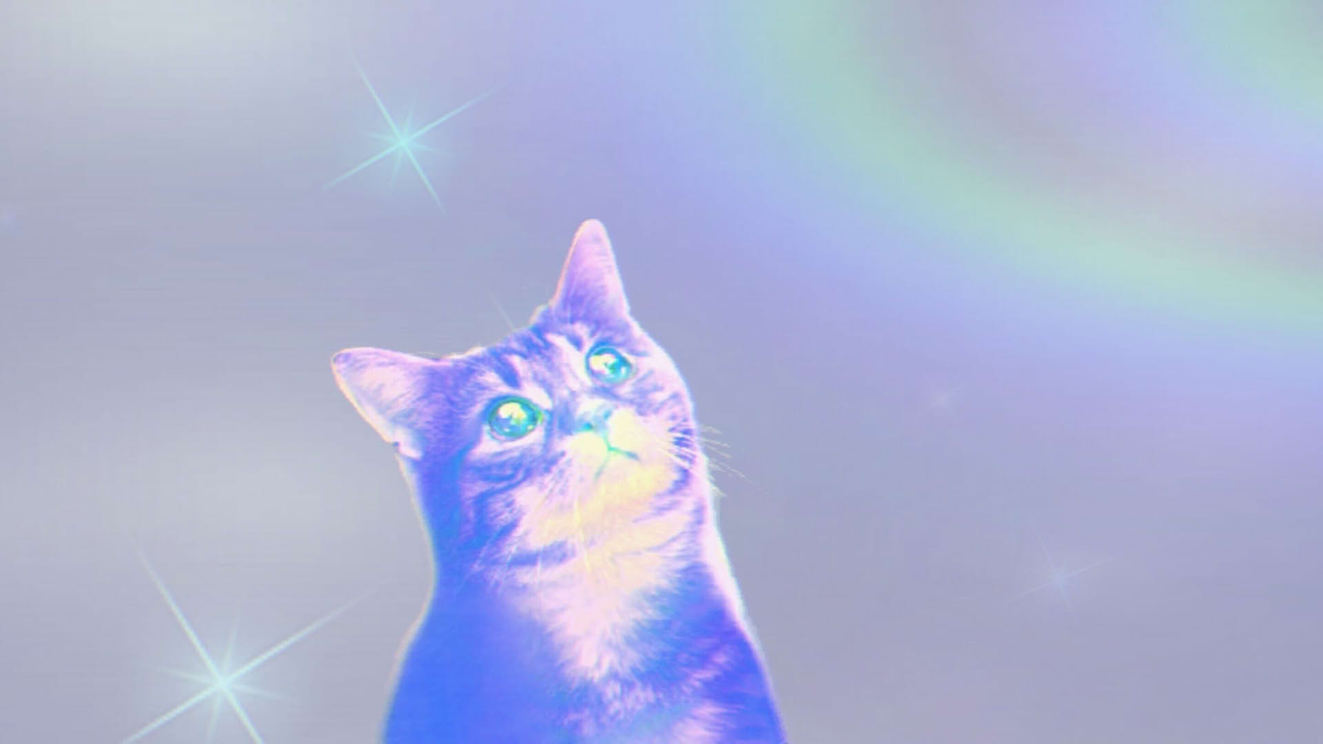 Screenshot for Puss!