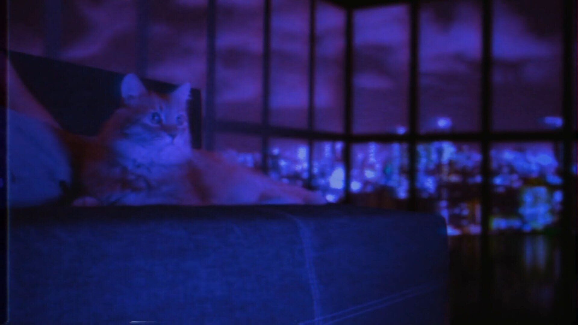 Screenshot for Puss!
