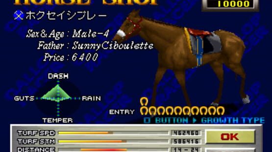 Screenshot for Gallop Racer