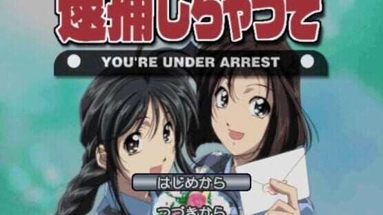 Screenshot for You're Under Arrest