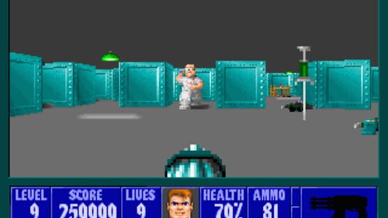 Screenshot for Wolfenstein 3D