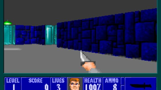 Screenshot for Wolfenstein 3D