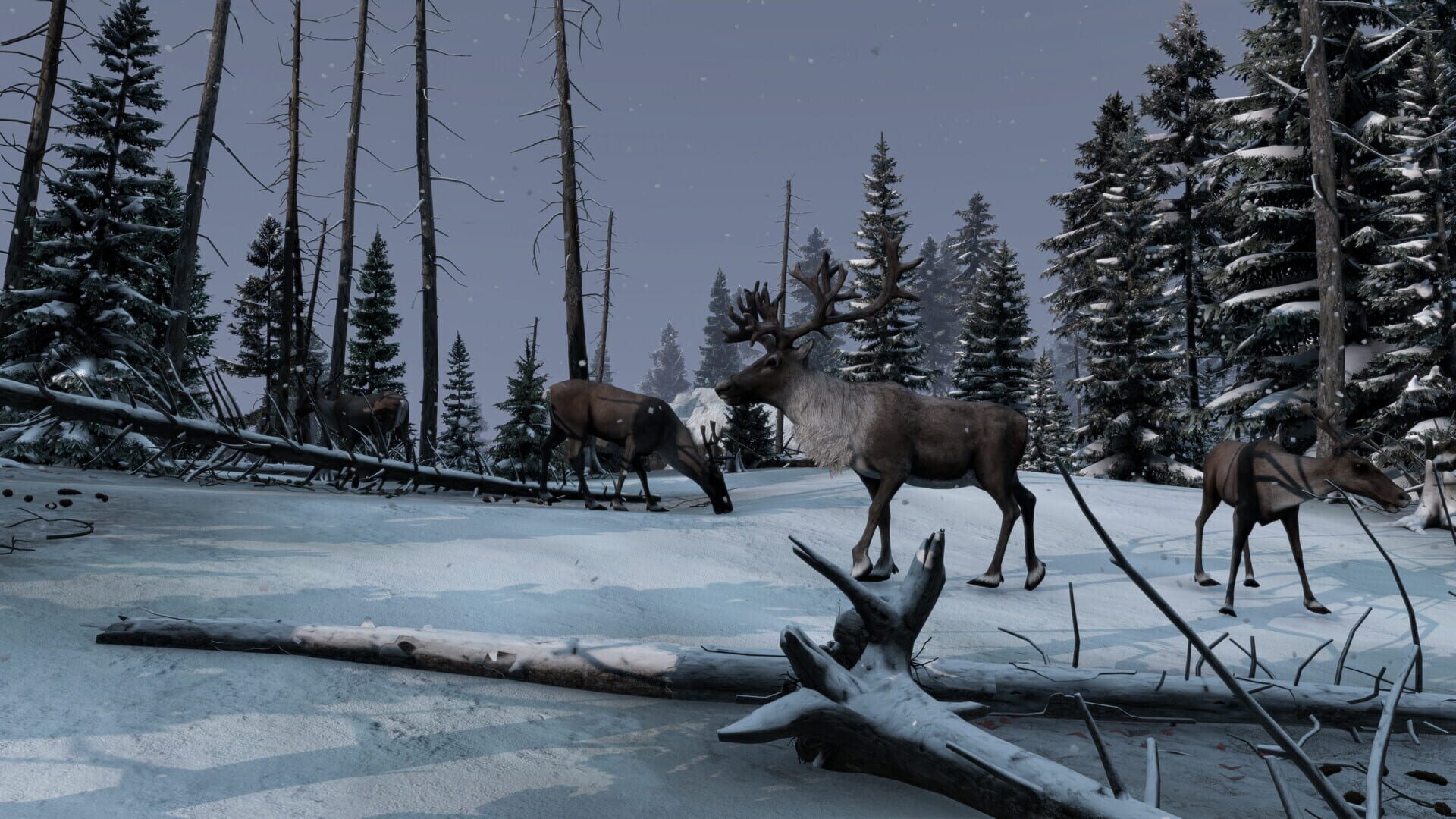 Screenshot for DayZ: Frostline