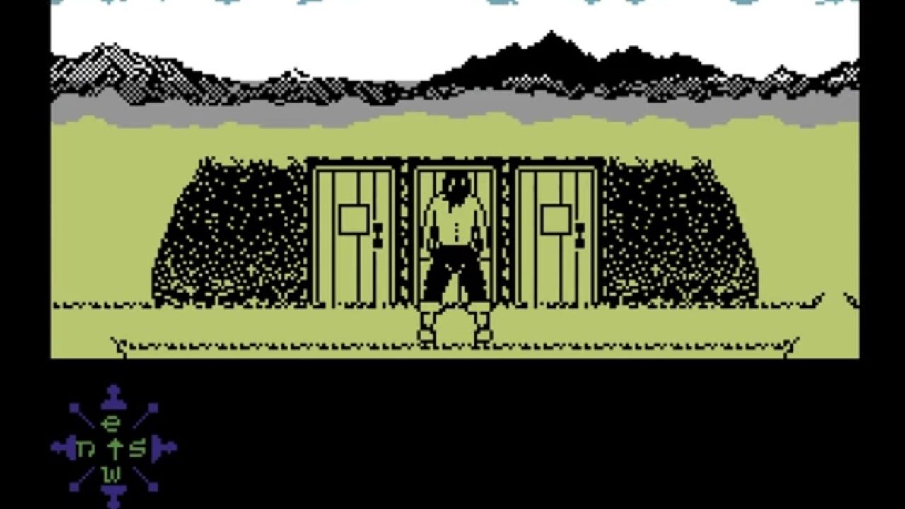 Screenshot for Tir Na Nog