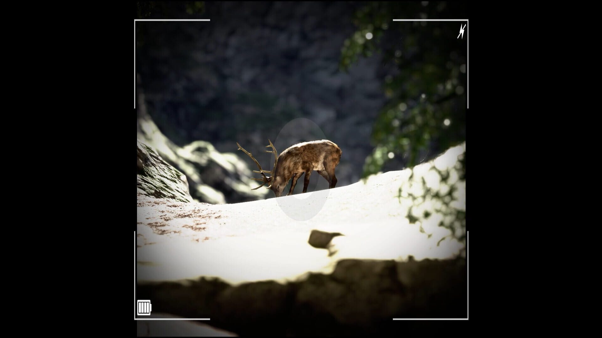 Screenshot for Raccoon on a Boat