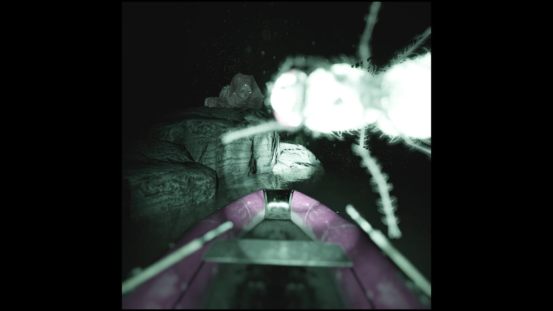 Screenshot for Raccoon on a Boat