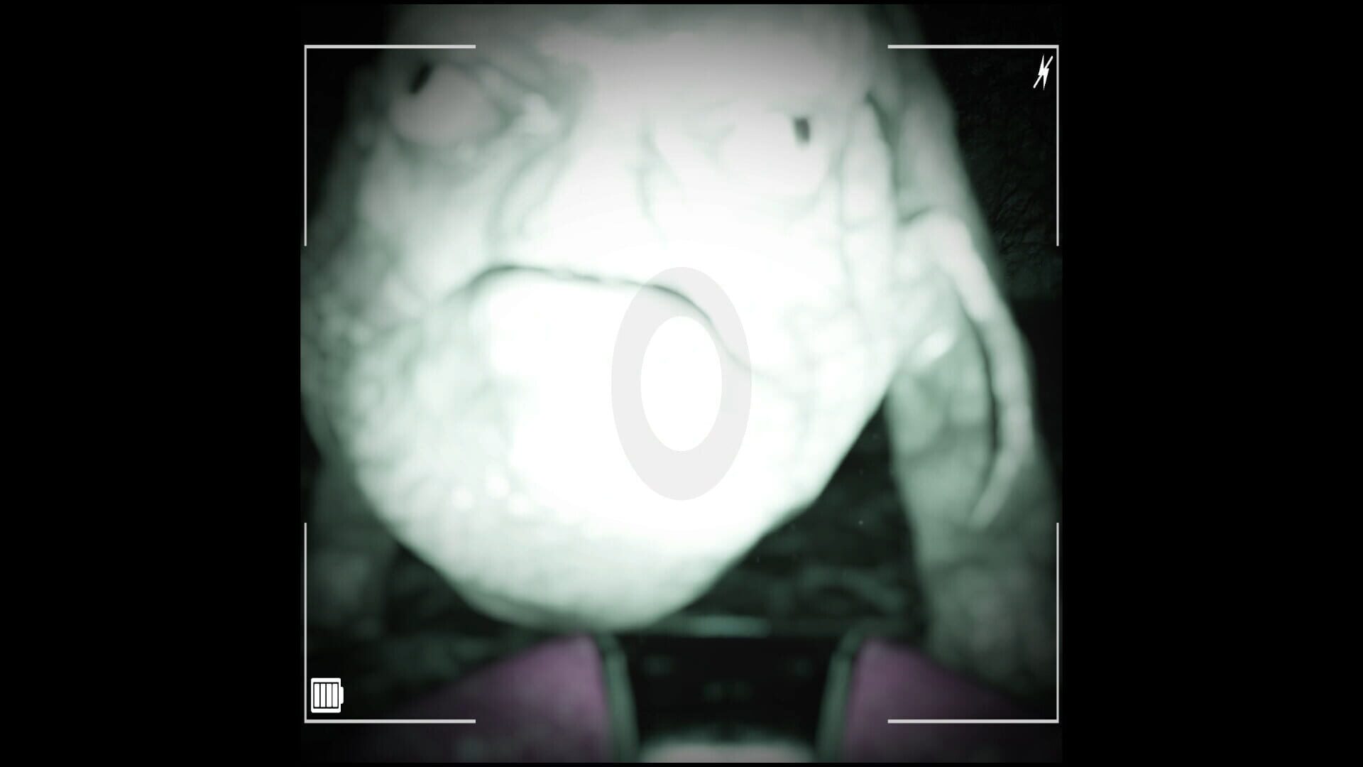 Screenshot for Raccoon on a Boat