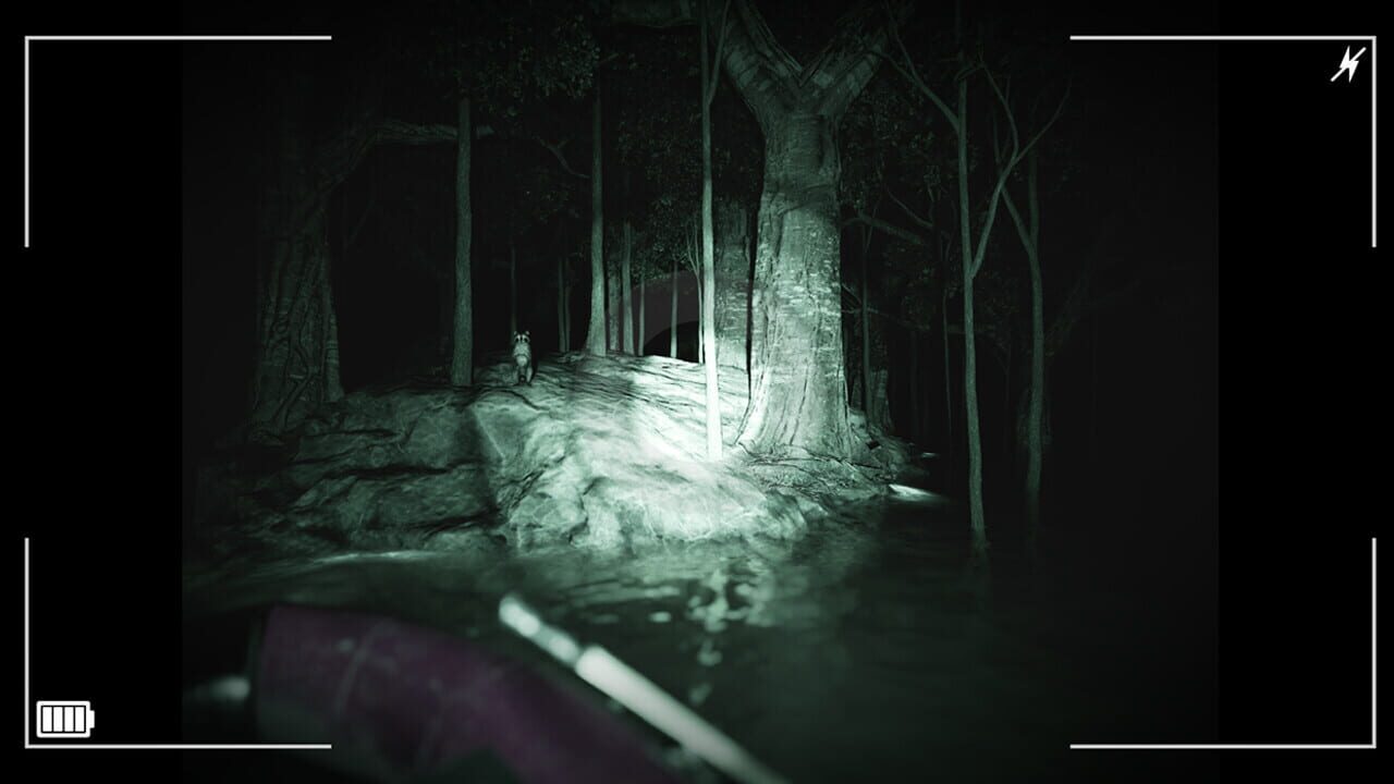 Screenshot for Raccoon on a Boat