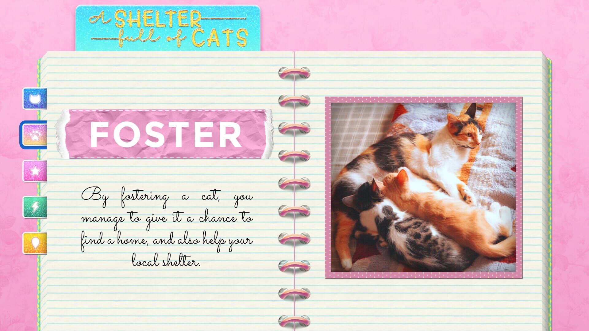 Screenshot for A Shelter Full of Cats