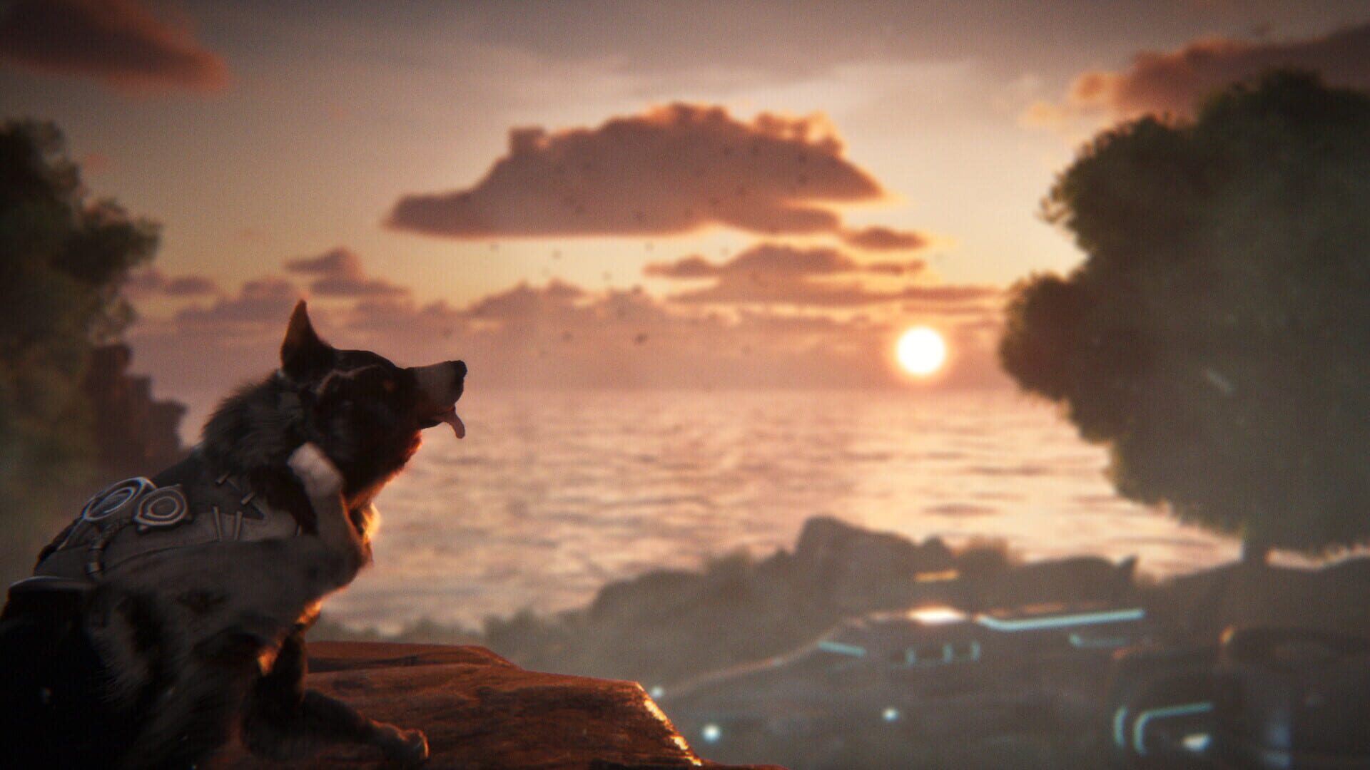 Screenshot for Barkour