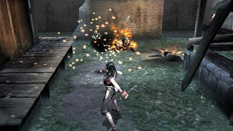 Screenshot for Tenchu: Fatal Shadows