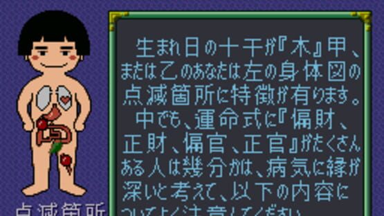 Screenshot for Shin Togenkyo