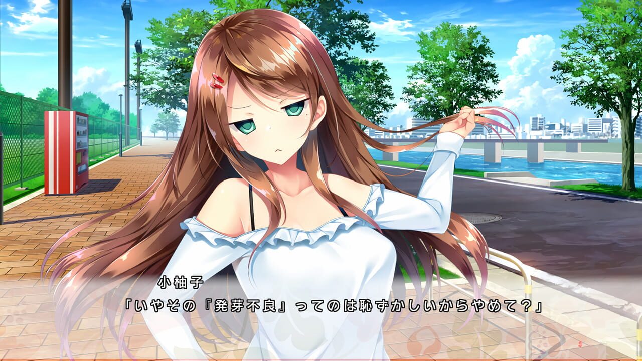 Screenshot for Docchi no I ga suki desu ka?