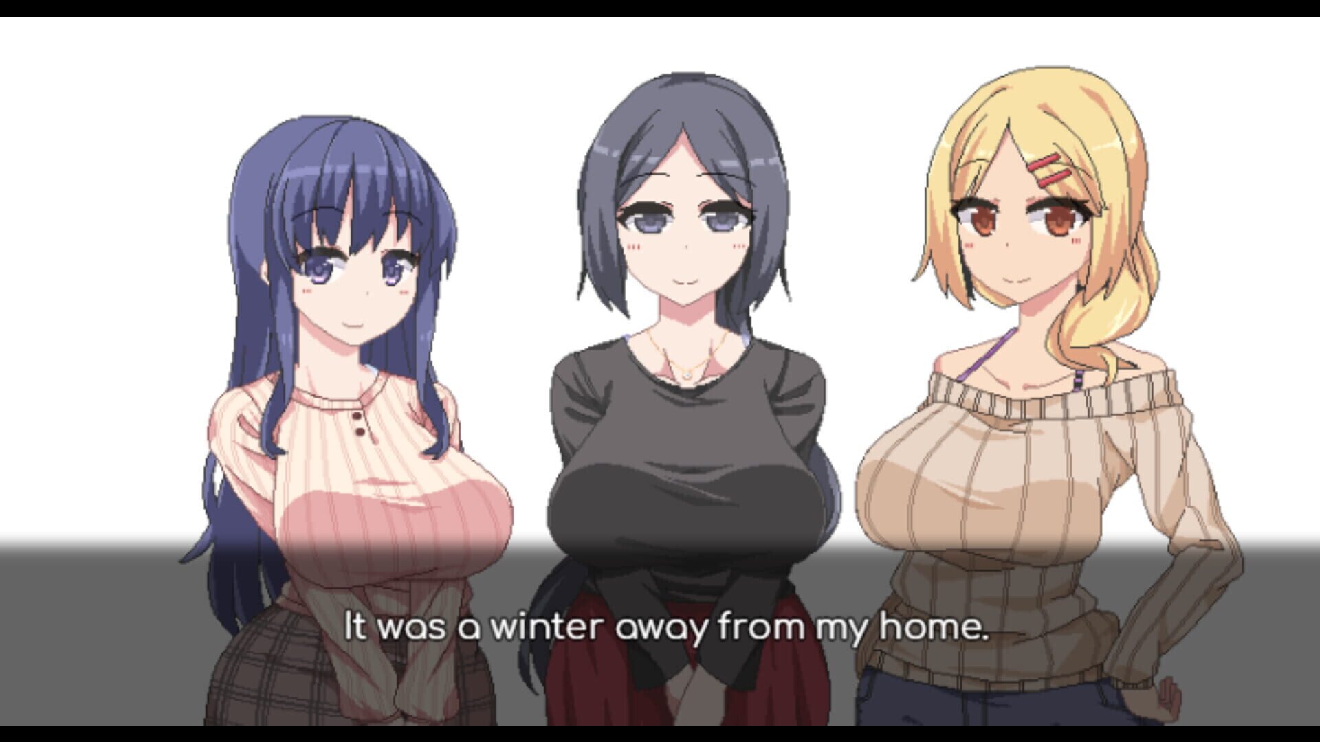 Screenshot for Winter Memories