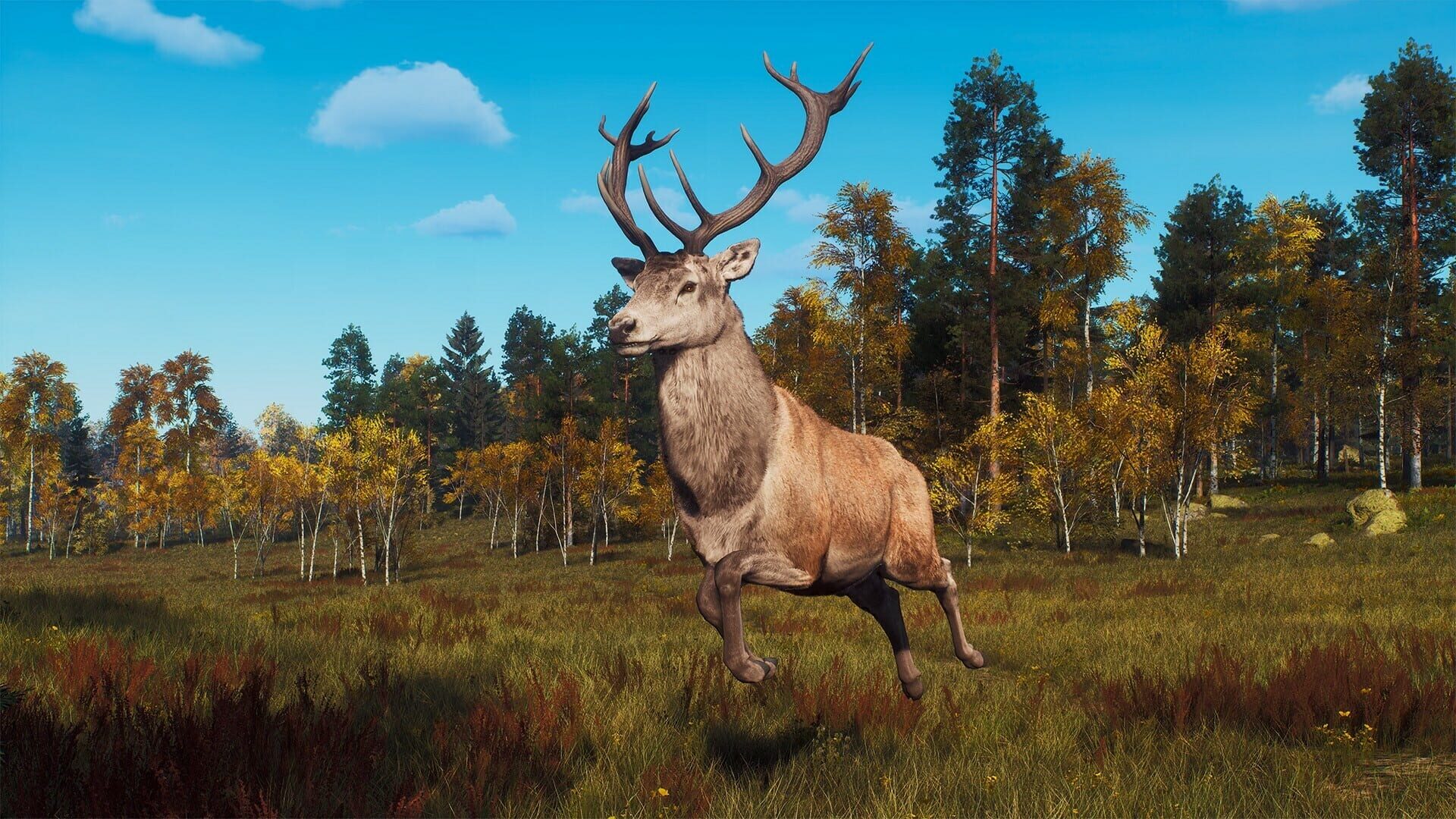 Screenshot for Way of the Hunter: Lintukoto Reserve