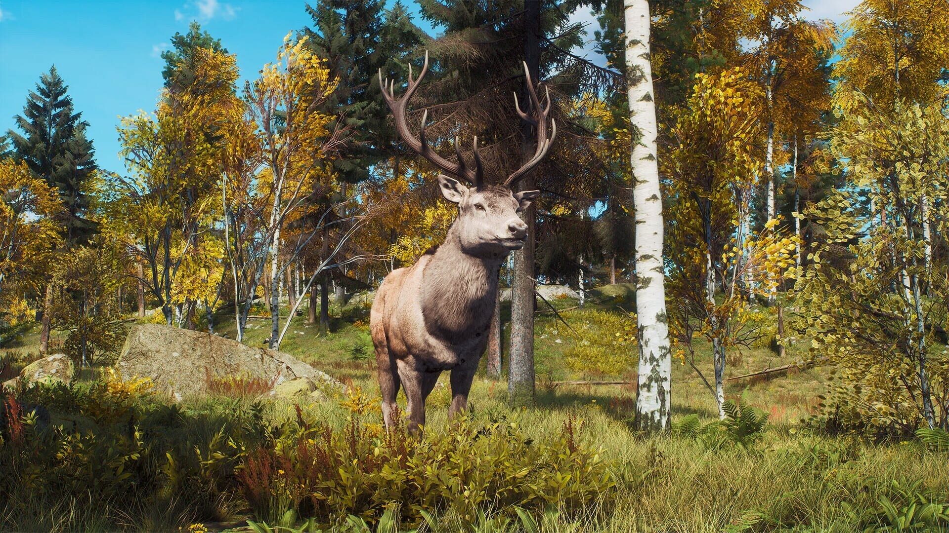 Screenshot for Way of the Hunter: Lintukoto Reserve