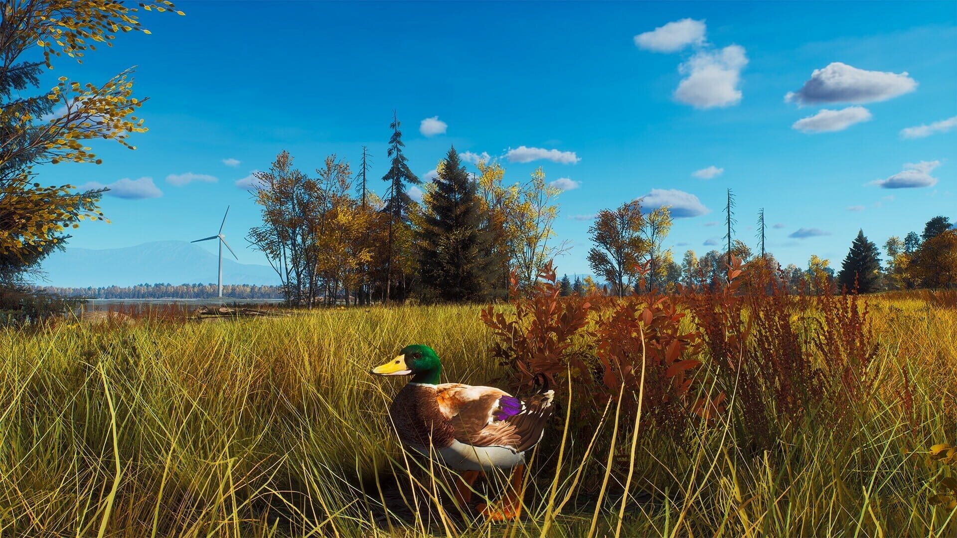 Screenshot for Way of the Hunter: Lintukoto Reserve