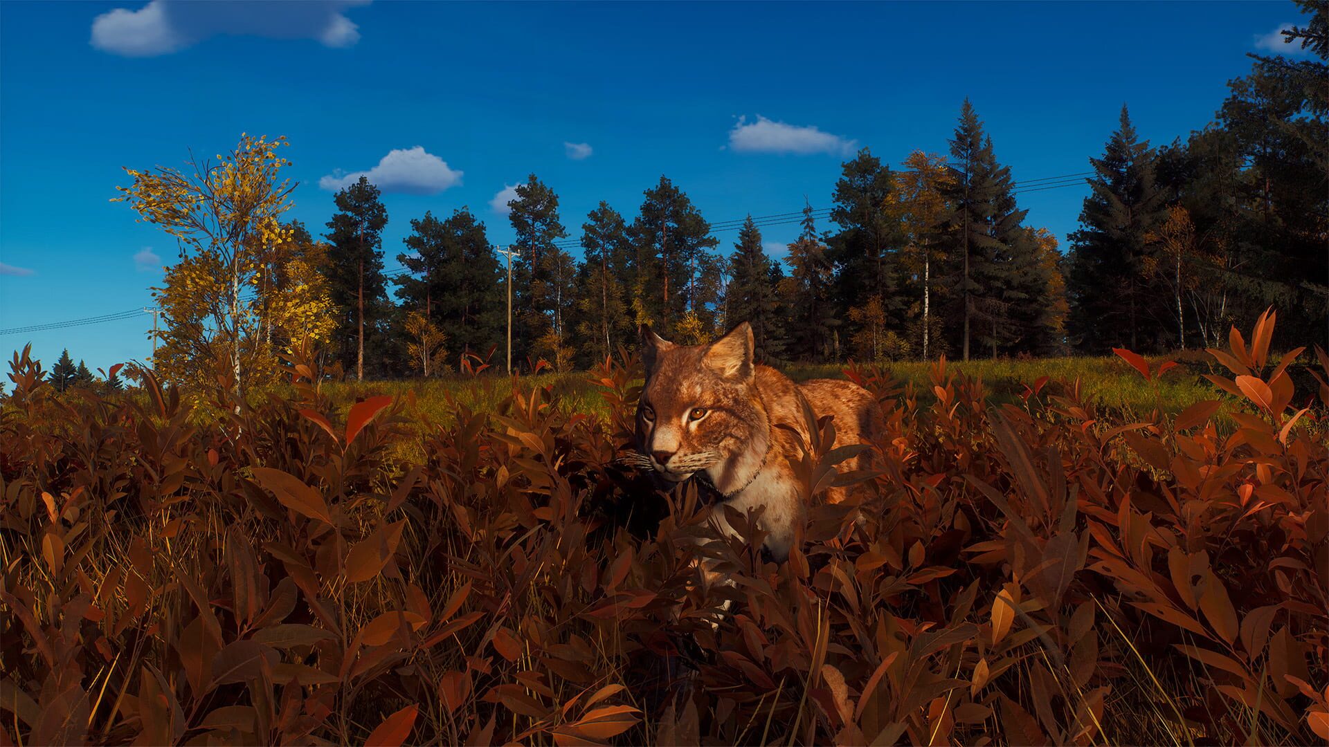 Screenshot for Way of the Hunter: Lintukoto Reserve