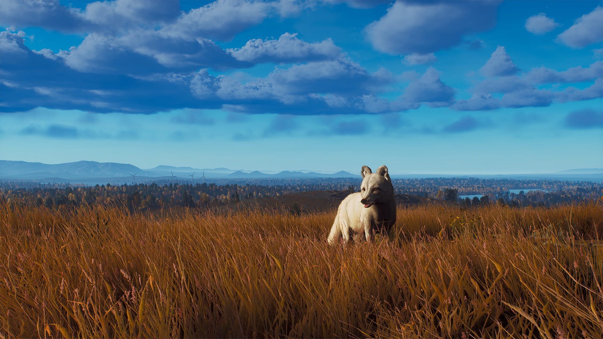 Screenshot for Way of the Hunter: Lintukoto Reserve