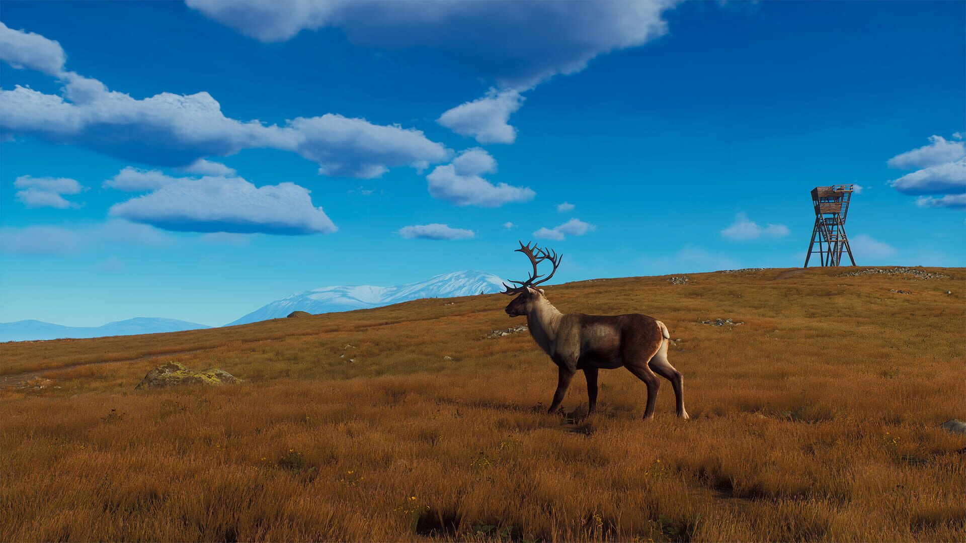 Screenshot for Way of the Hunter: Lintukoto Reserve