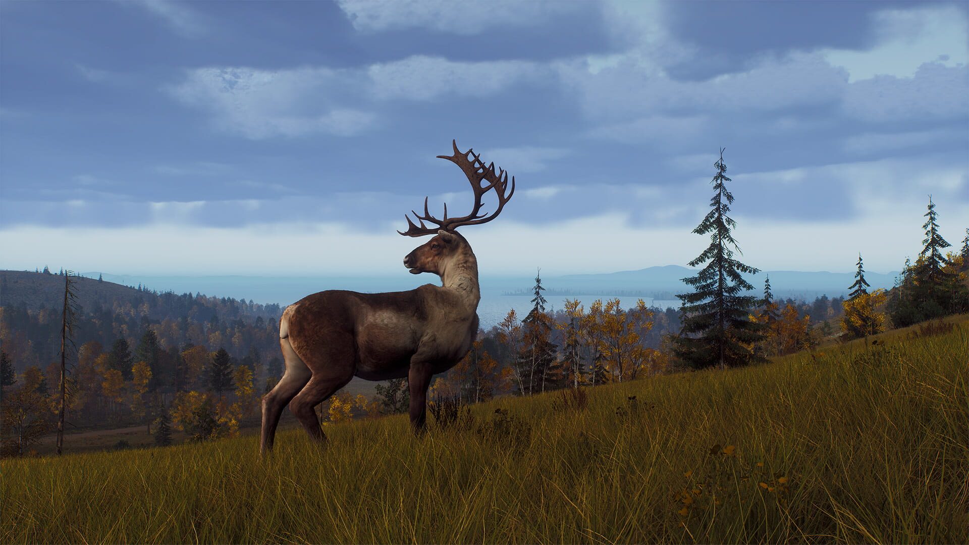Screenshot for Way of the Hunter: Lintukoto Reserve