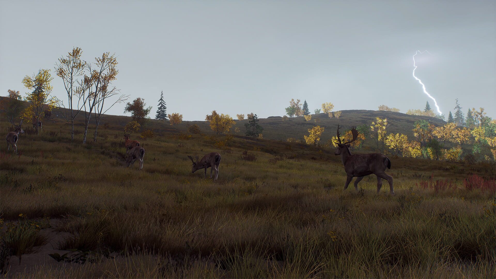 Screenshot for Way of the Hunter: Lintukoto Reserve