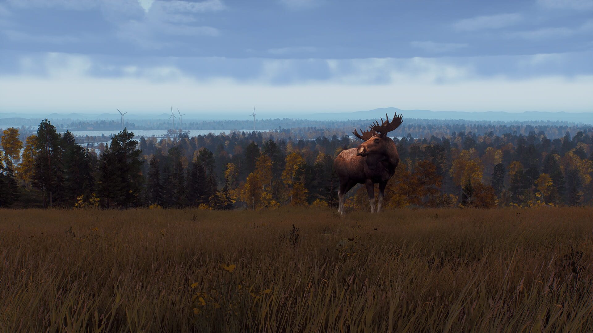 Screenshot for Way of the Hunter: Lintukoto Reserve