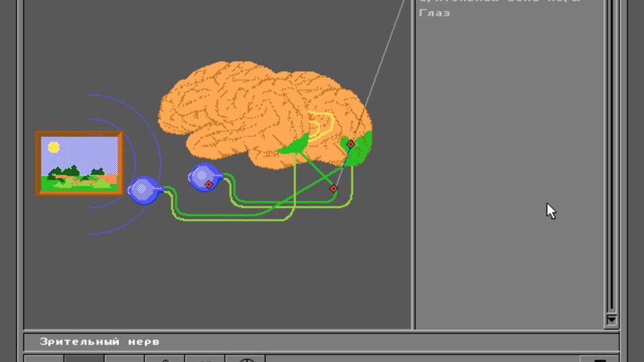 Screenshot for Body Quest