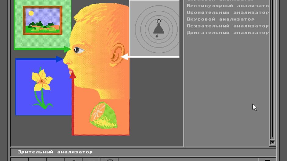 Screenshot for Body Quest