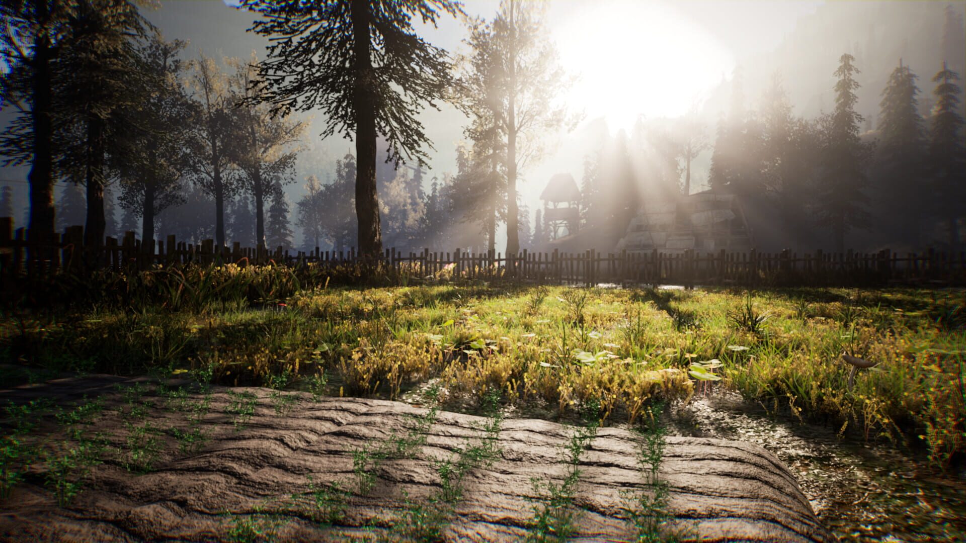 Screenshot for Medieval Frontiers