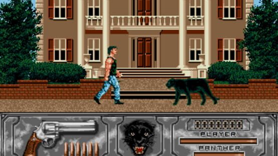 Screenshot for Wild Streets