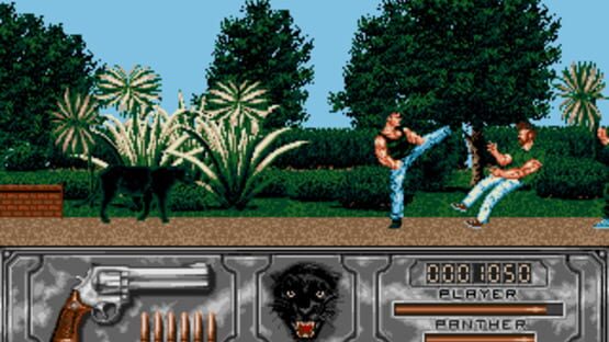 Screenshot for Wild Streets