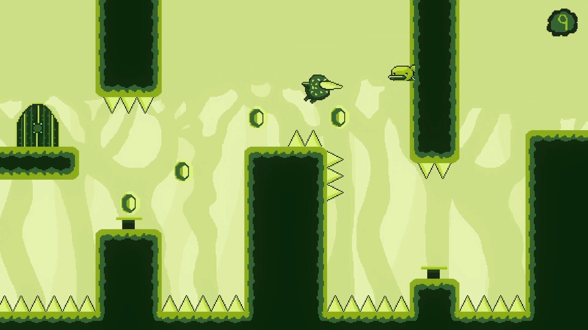 Screenshot for Ducky Dash