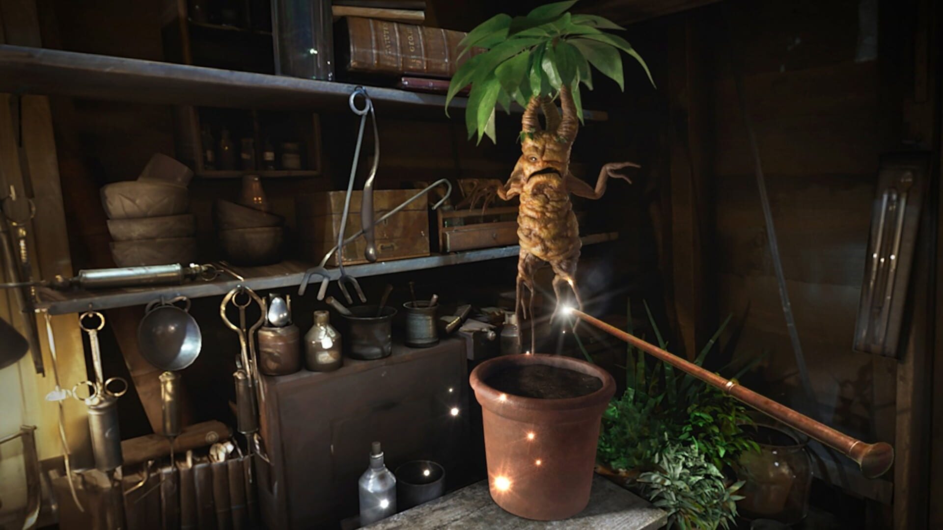 Screenshot for Fantastic Beasts and Where to Find Them: VR Experience