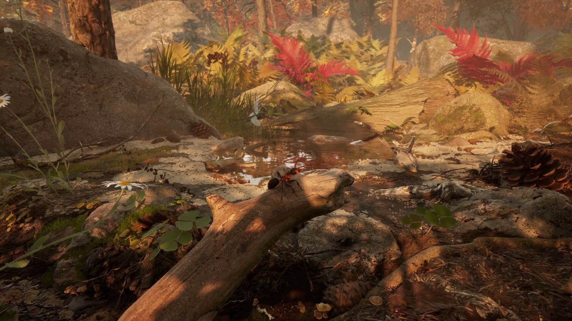 Screenshot for Empire of the Ants
