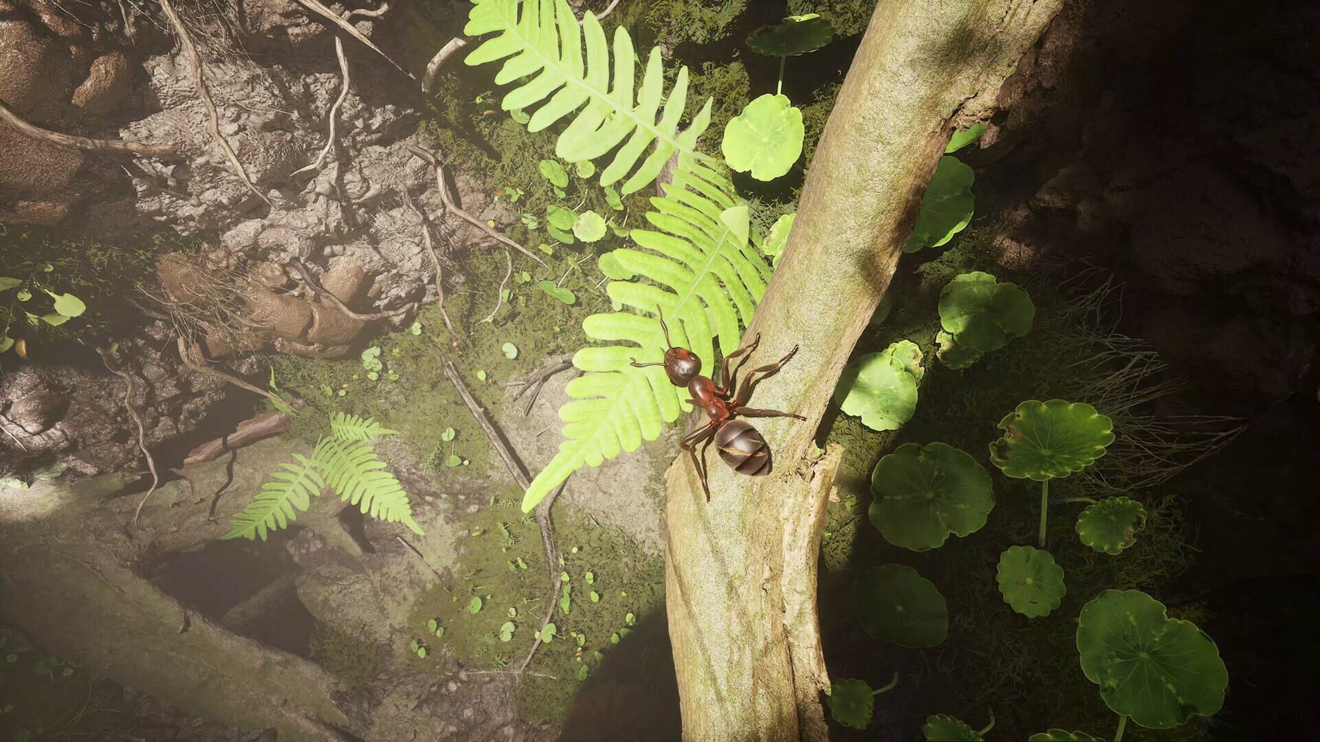Screenshot for Empire of the Ants