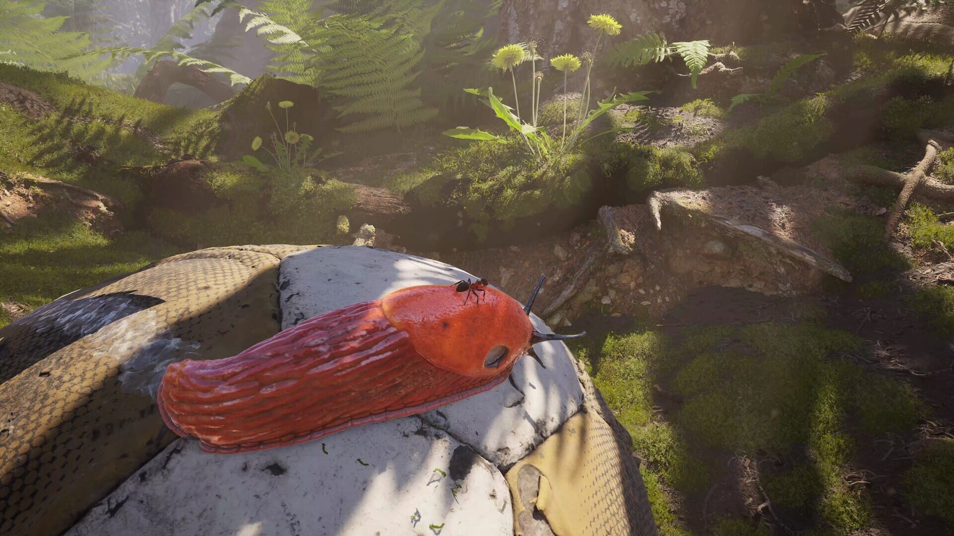 Screenshot for Empire of the Ants